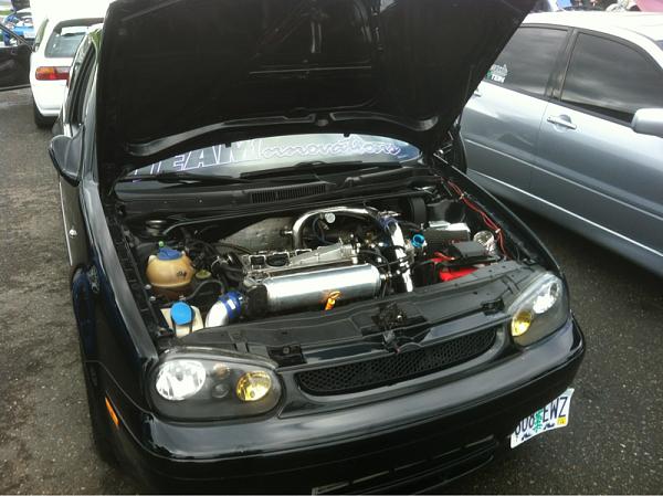 What did you do with your Mustang today?*-image-3233015097.jpg