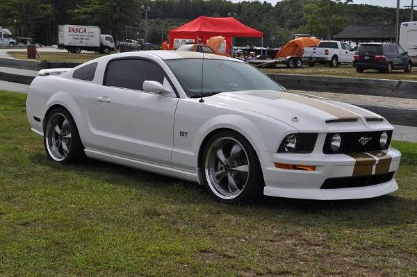 Ponies on The Run!-nedw10.jpg