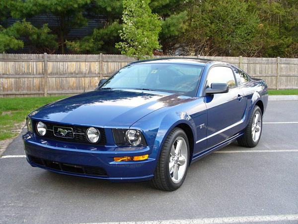 Ponies on The Run!-frnt-dvr-side.jpg