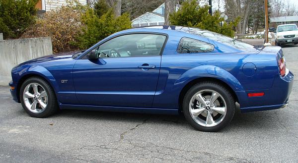 Ponies on The Run!-p1000783.jpg