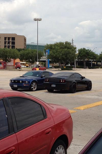 What did you do with your Mustang today?*-image-981381567.jpg