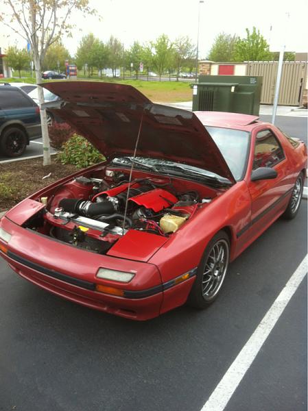 What did you do with your Mustang today?*-image-4169164530.jpg