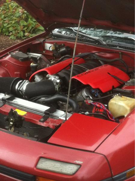 What did you do with your Mustang today?*-image-2439423526.jpg