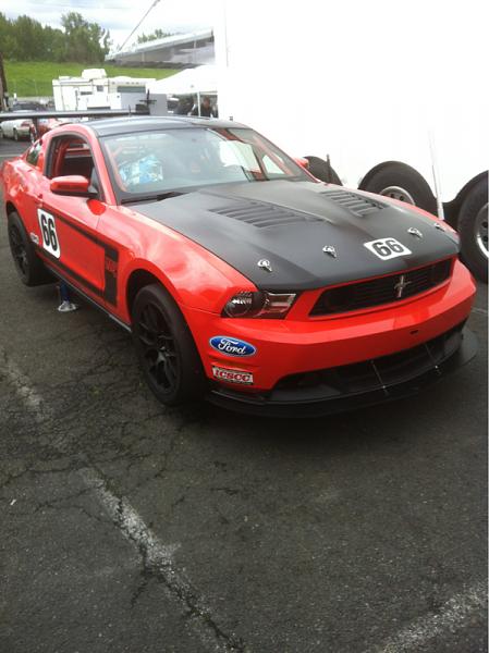 What did you do with your Mustang today?*-image-296427449.jpg