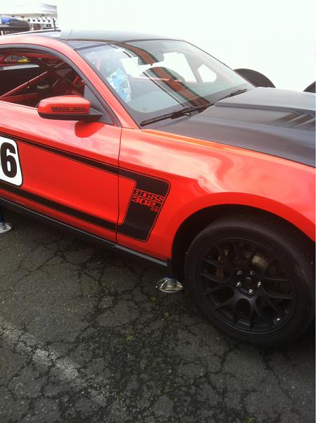 What did you do with your Mustang today?*-image-3689282874.jpg