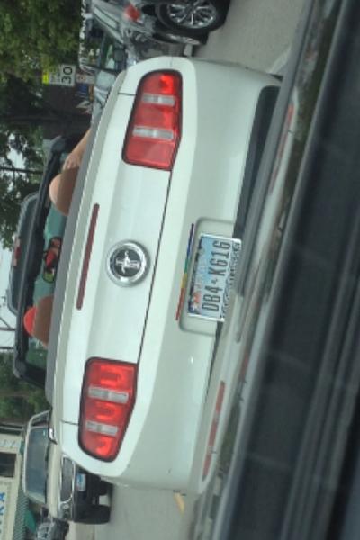 What did you do with your Mustang today?*-image-1263260416.jpg