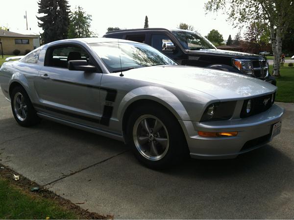 What did you do with your Mustang today?*-image-3917045272.jpg