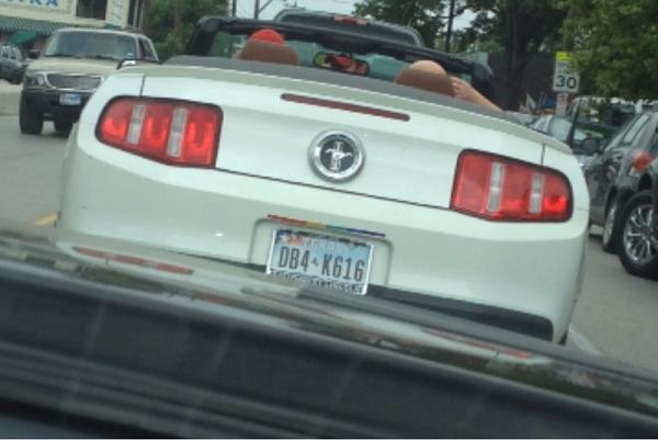 What did you do with your Mustang today?*-image-4267547036.jpg