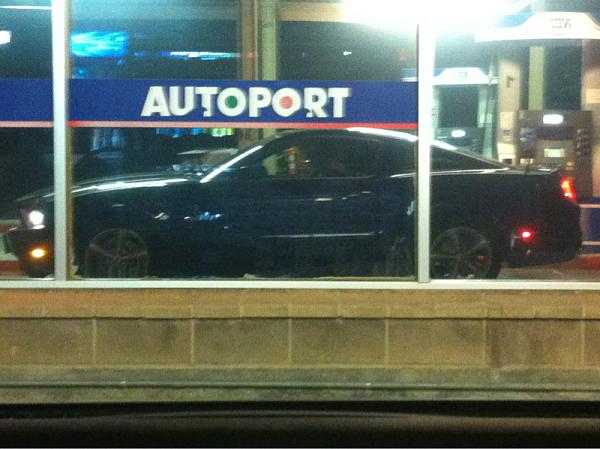 What did you do with your Mustang today?*-image-1829154383.jpg