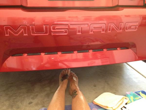 What did you do with your Mustang today?*-image-3412602350.jpg