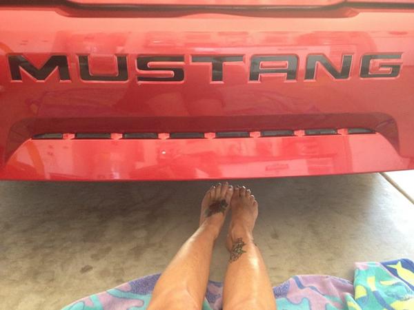 What did you do with your Mustang today?*-image-615120446.jpg