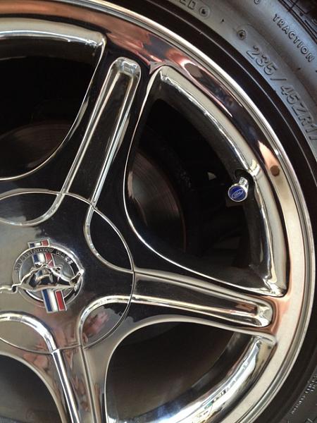 What did you do with your Mustang today?*-image-3798774029.jpg