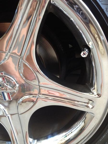 What did you do with your Mustang today?*-image-4111598263.jpg