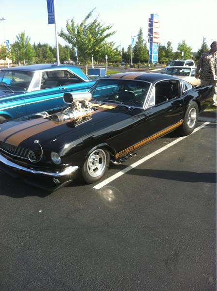 What did you do with your Mustang today?*-image-2616435165.jpg