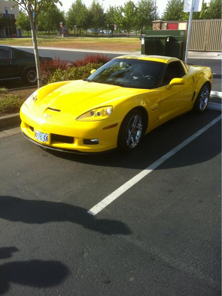 What did you do with your Mustang today?*-image-1763645109.jpg