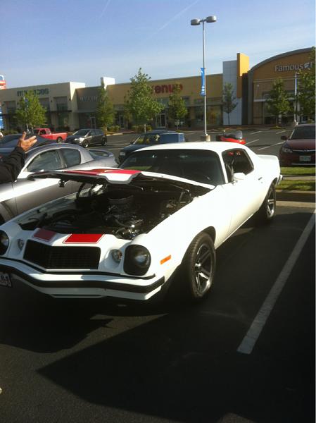 What did you do with your Mustang today?*-image-2015985582.jpg