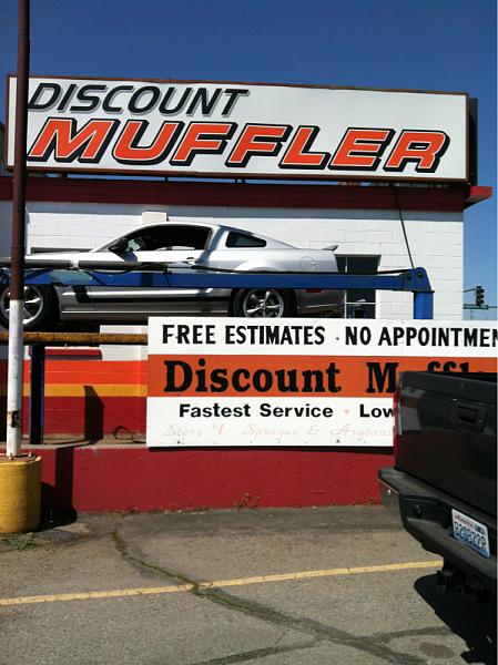 What did you do with your Mustang today?*-image-4267127245.jpg