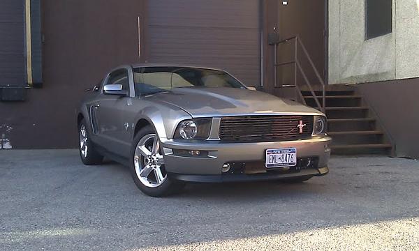 mustang advice-download-3-.jpg