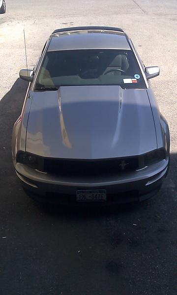 mustang advice-imag0942.jpg