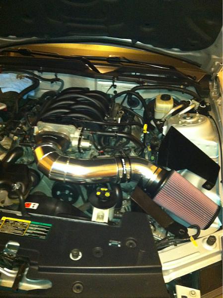 What did you do with your Mustang today?*-image-2384546056.jpg