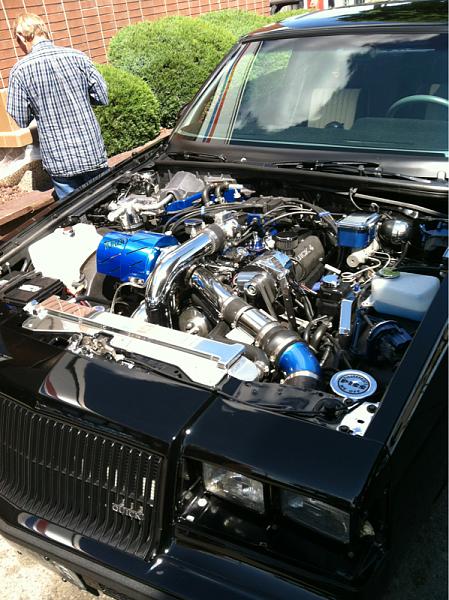 What did you do with your Mustang today?*-image-1546978933.jpg