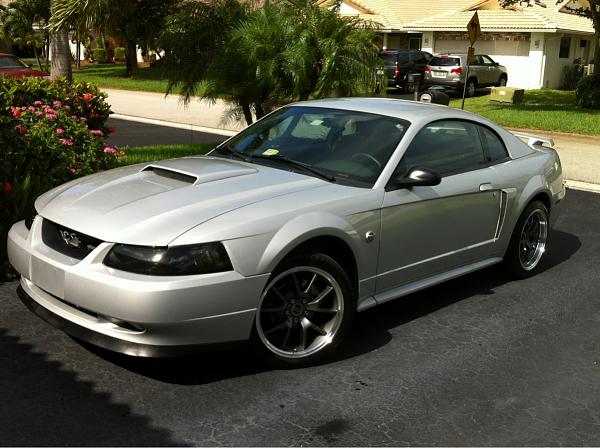 What did you do with your Mustang today?*-image-1744154739.jpg