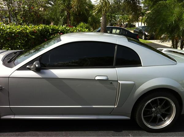 What did you do with your Mustang today?*-image-1787273181.jpg
