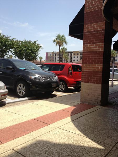 What did you do with your Mustang today?*-image-162390027.jpg