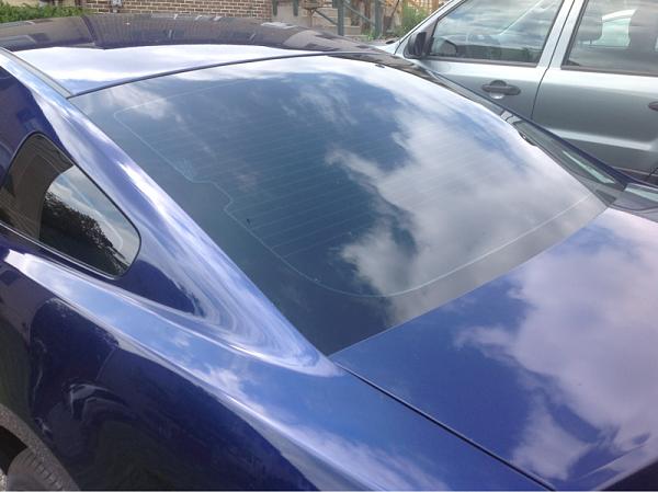 What did you do with your Mustang today?*-image-2529163946.jpg