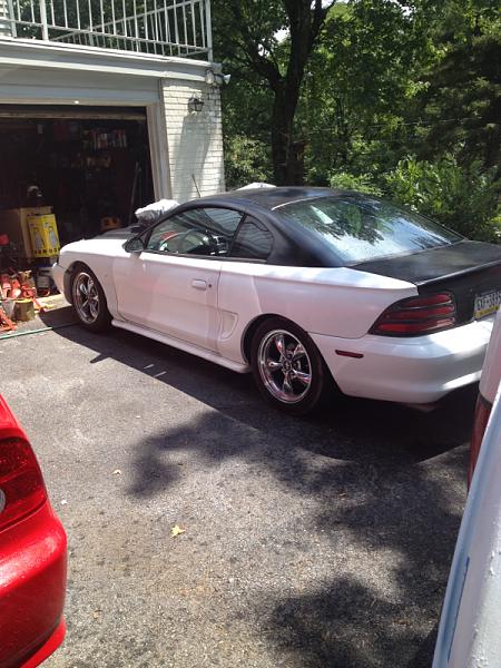What did you do with your Mustang today?*-image-906413061.jpg