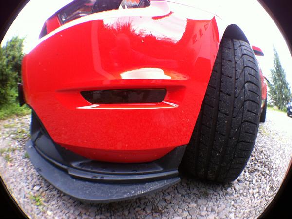 What did you do with your Mustang today?*-image-2971031286.jpg
