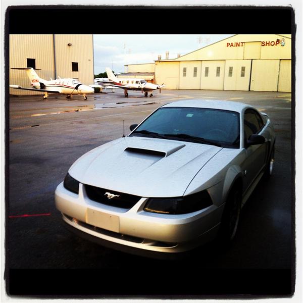 What did you do with your Mustang today?*-image-3425717622.jpg