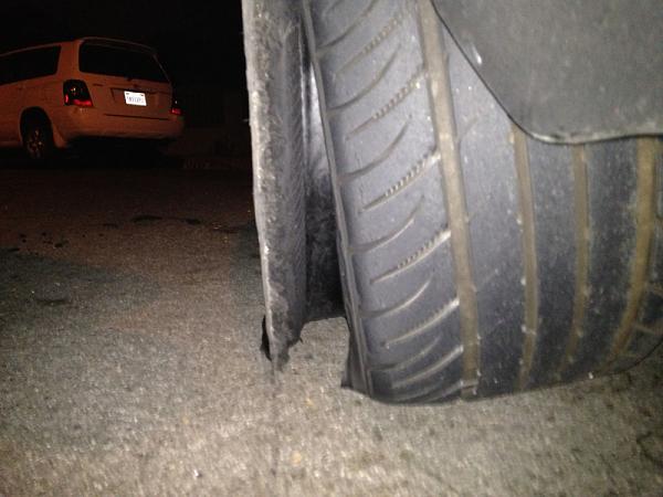 What did you do with your Mustang today?*-image-83050371.jpg