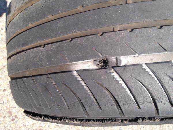 What did you do with your Mustang today?*-image-1543370333.jpg