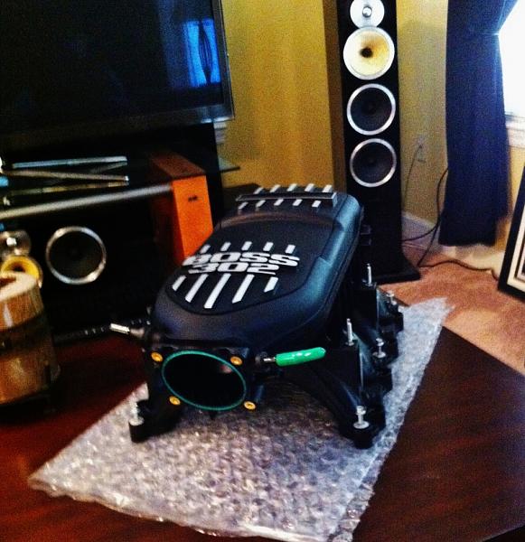 What did you do with your Mustang today?*-boss01.jpg