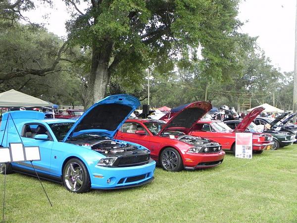 What did you do with your Mustang today?*-dscn0143.jpg