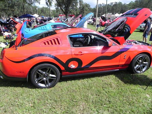 What did you do with your Mustang today?*-dscn0128.jpg