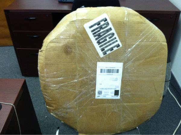 What did you do with your Mustang today?*-image-1794522811.jpg