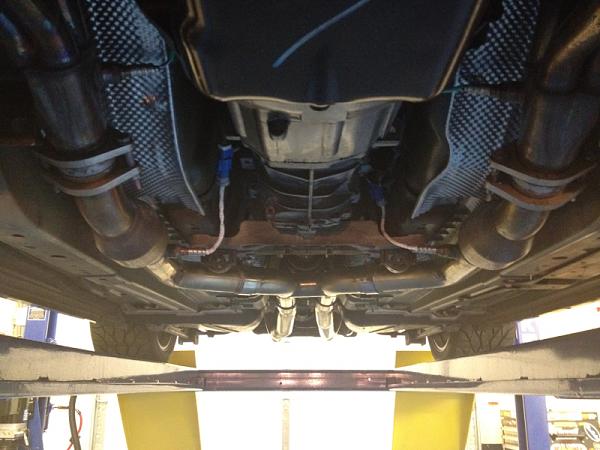 What did you do with your Mustang today?*-image-2926796417.jpg