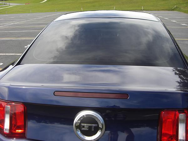 What did you do with your Mustang today?*-mustang-004.jpg