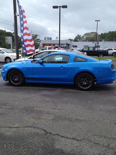 Mustang less than a month old 5 times for service!!!!-image-177941849.jpg