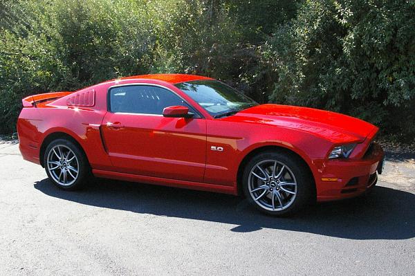 Mustang less than a month old 5 times for service!!!!-mustang.jpg