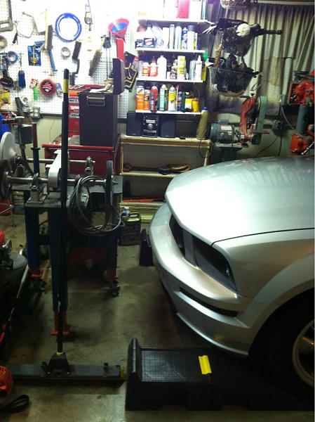 What did you do with your Mustang today?*-image-2207956560.jpg