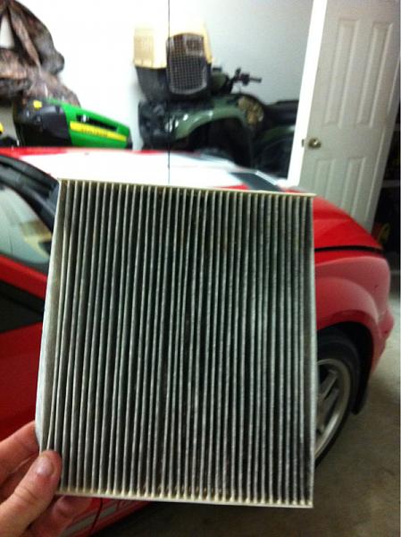 What did you do with your Mustang today?*-image-493554726.jpg