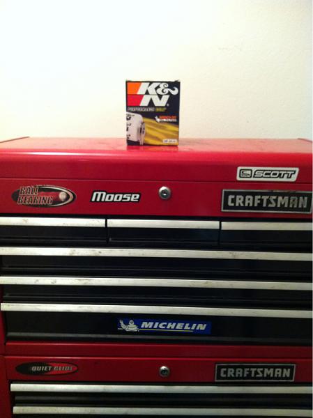 What did you do with your Mustang today?*-image-3643756202.jpg