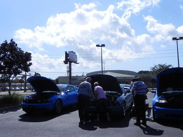 What did you do with your Mustang today?*-dscn0156.jpg