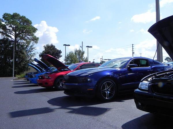 What did you do with your Mustang today?*-dscn0168.jpg