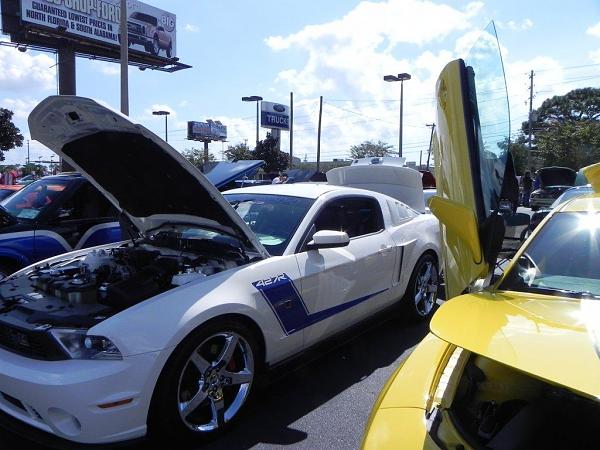 What did you do with your Mustang today?*-dscn0163.jpg