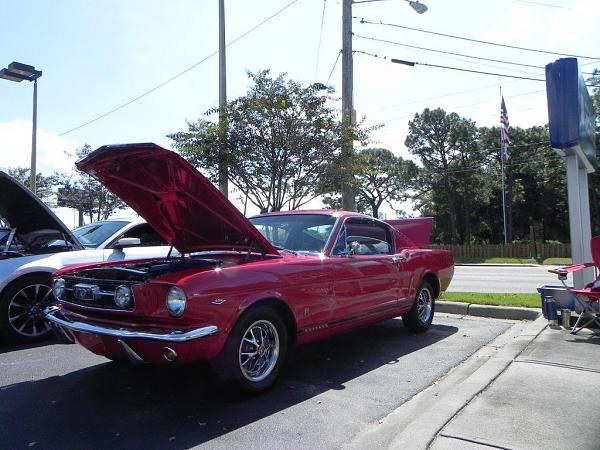 What did you do with your Mustang today?*-dscn0158.jpg