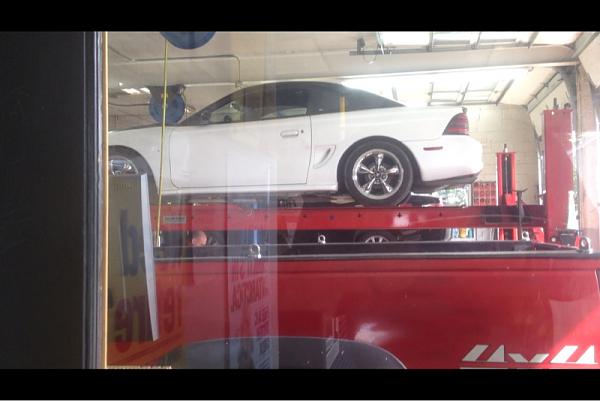 What did you do with your Mustang today?*-image-1469935912.jpg